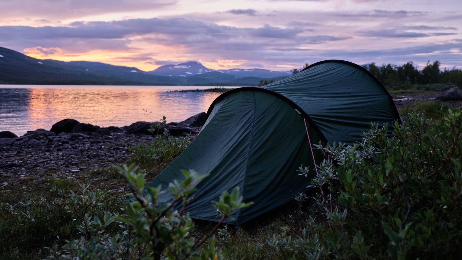 A green tent on a quiet lakeshore at sunset, with shrubs and distant trees.