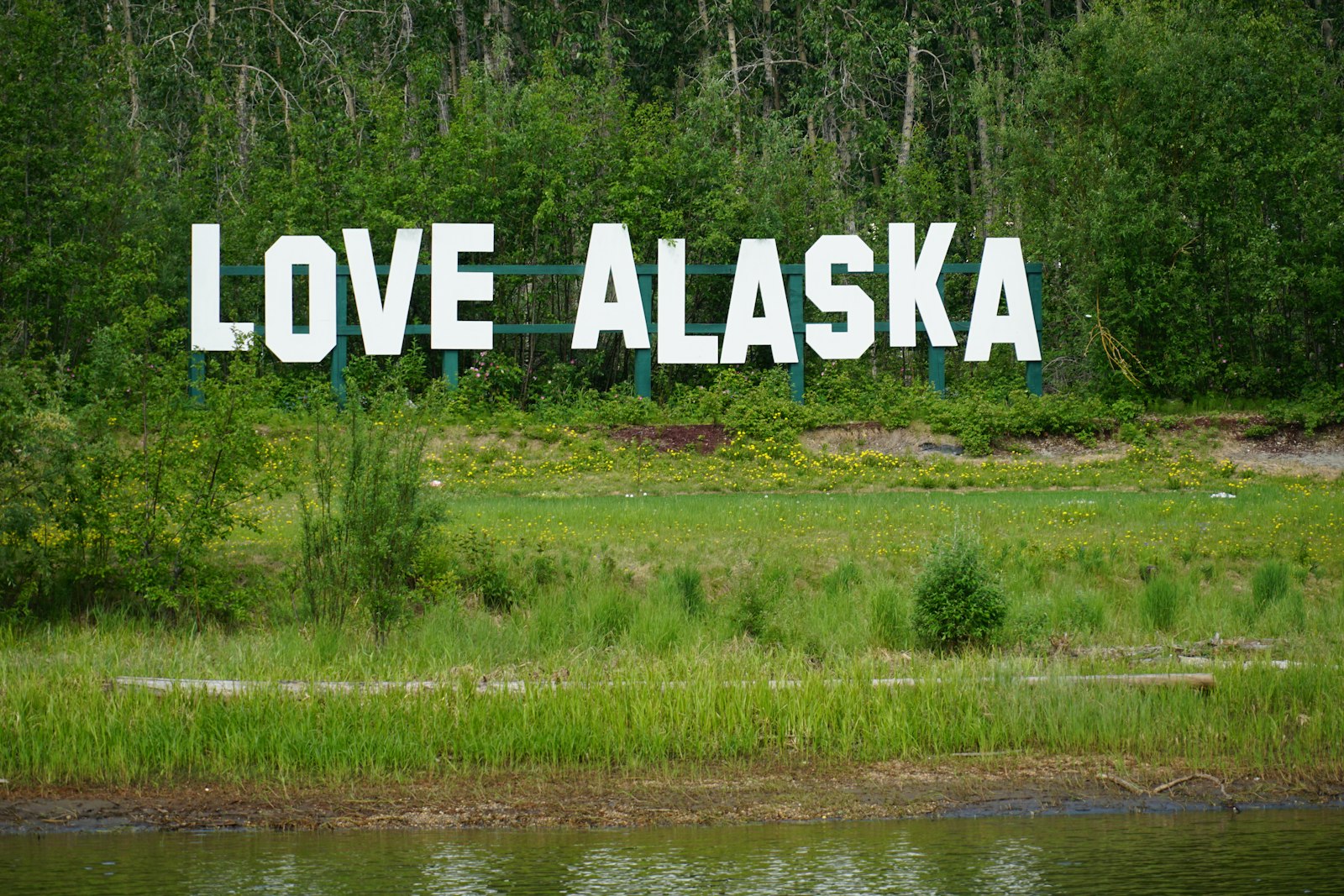Interior Alaska summer landscape near Fairbanks