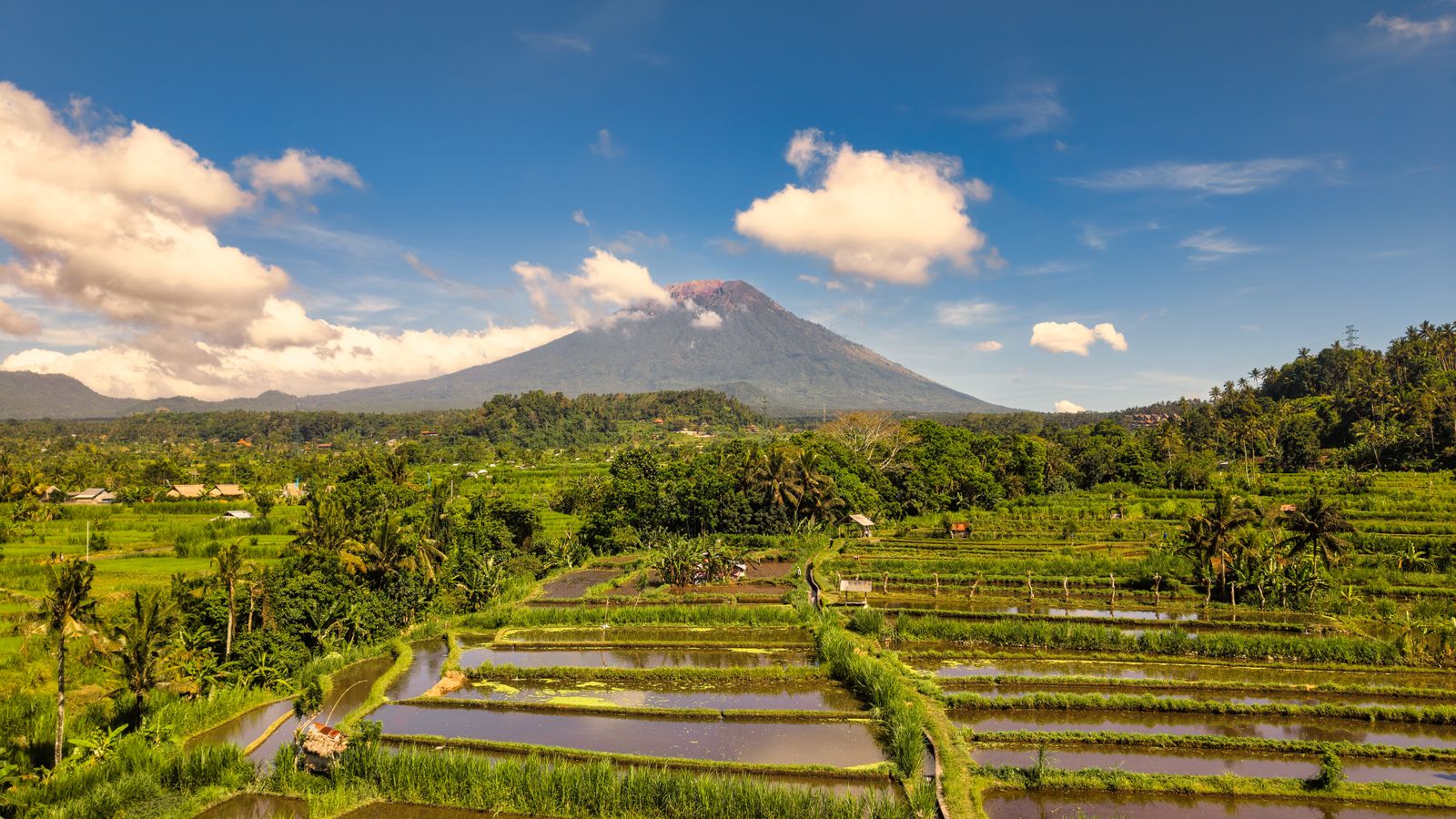 Rice terraces with Mount Agung in the distance, Bali, Indonesia.