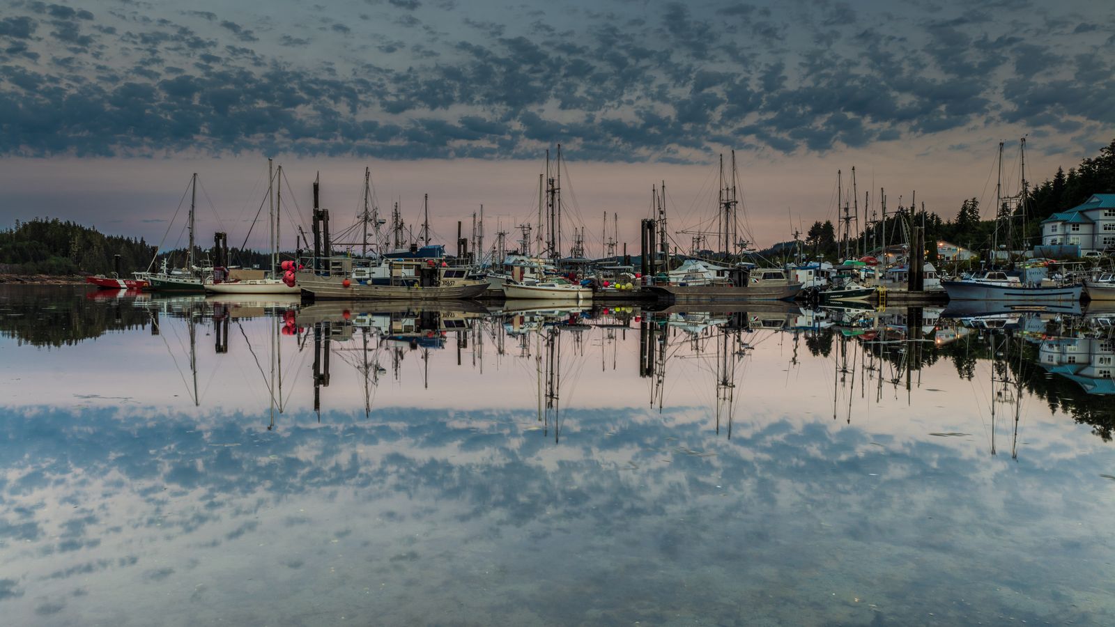 Boats moored in the marina at Port Hardy, British Columbia.