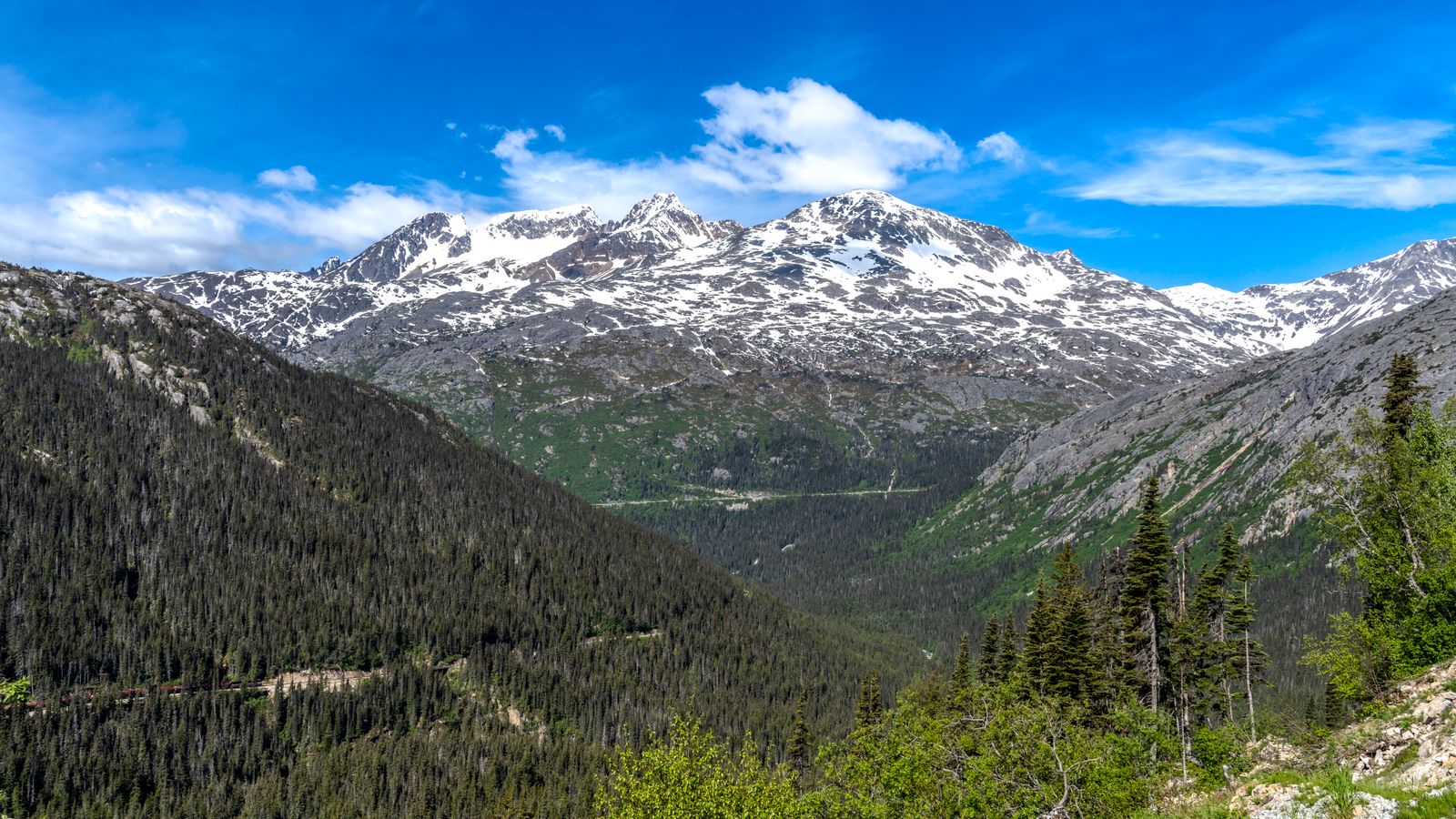 Snowy peaks above a forested valley near Skagway, Alaska.