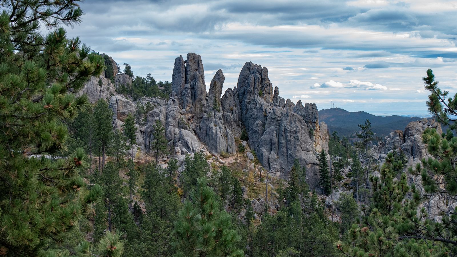 Granite needle spires above pine forest near Hill City in the Black Hills, South Dakota.