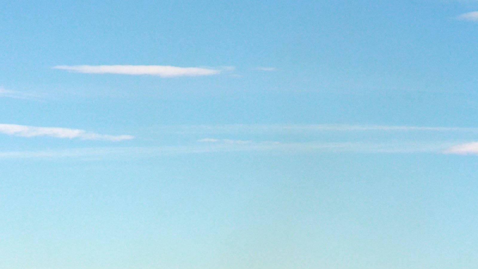 A cruise ship sails on open water near a distant shore.