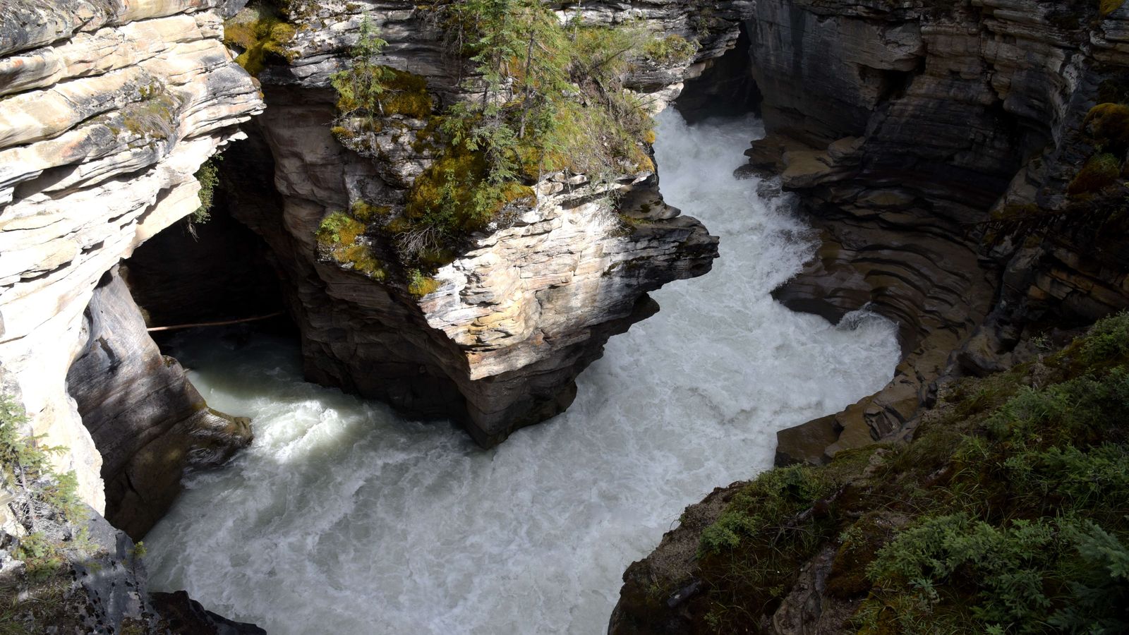 A river rushing through a rocky canyon in Jasper National Park, Canada.
