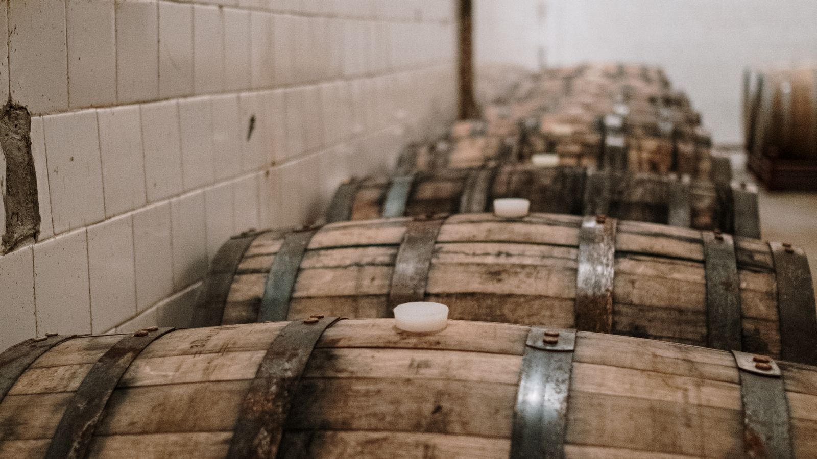 Row of plain wooden barrels in a dim storage cellar