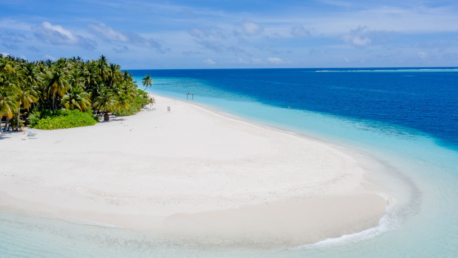 Palm trees along a white sand beach and shallow turquoise water in the Maldives.
