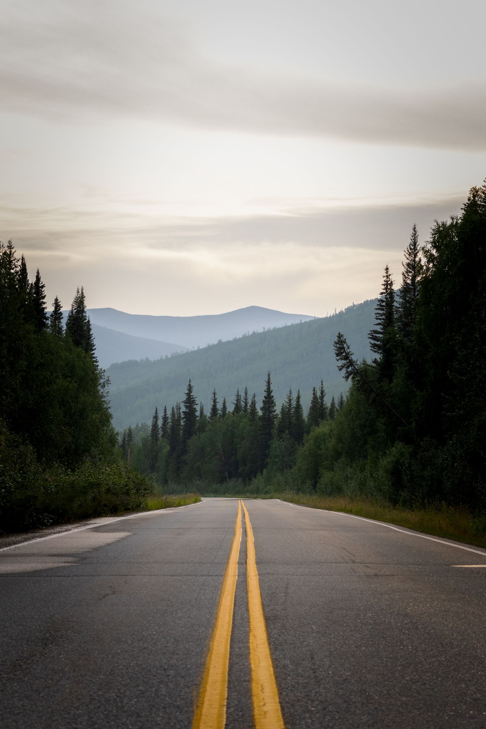 Empty forest road representing an Alaska road trip
