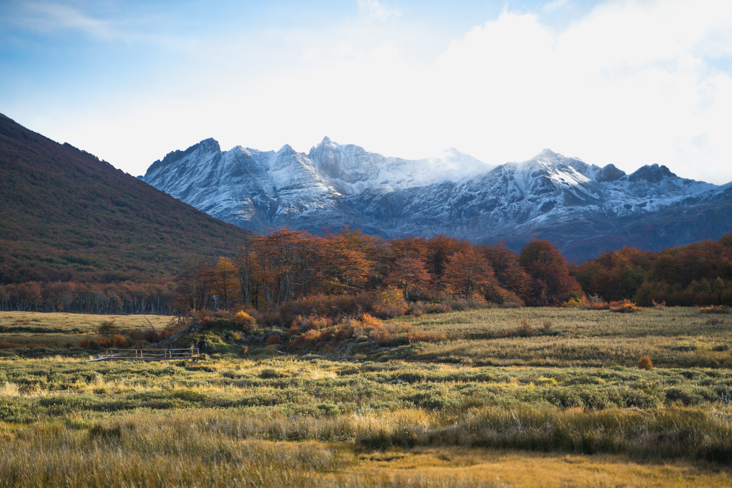 Best Time to Drive an Alaska Road Trip: Month-by-Month Decision Guide