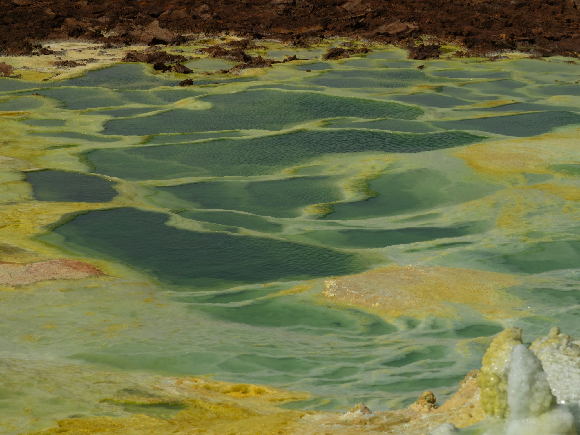 Colorful sulfur springs and mineral pools at Dallol in the Danakil Depression, Ethiopia